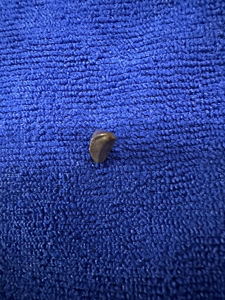 Trex Premax Tooth 0.75” 100% Original