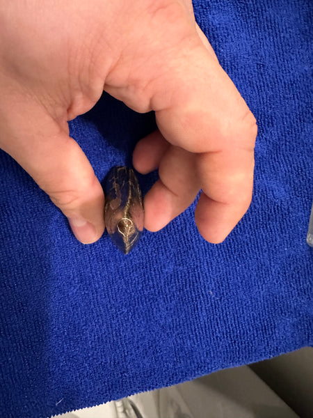 3” Maxillary T. rex Tooth (around the curve) with Amazing Serrations and Beautiful Patina